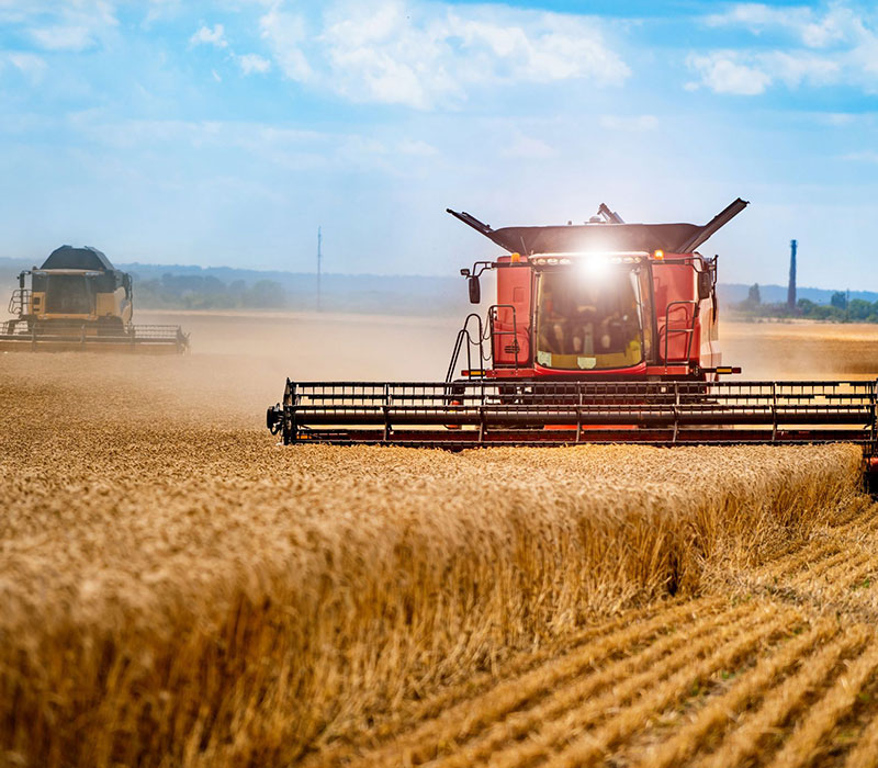 Wheat Harvester